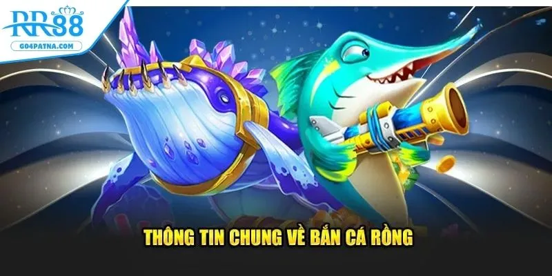 ban-ca-rong-tim-hieu